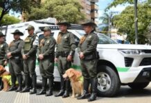 Ya funciona la “Patrulla Animal” en Bucaramanga