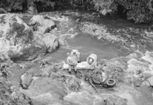 Encuentran muerto a mochilero argentino en Piedecuesta