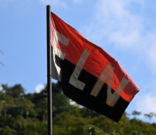 El ELN anunció un cese del fuego para las elecciones del 8 de marzo